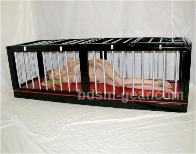 beth skidmore recommends the cage bdsm pic