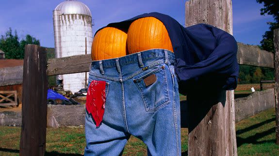 guys mooning