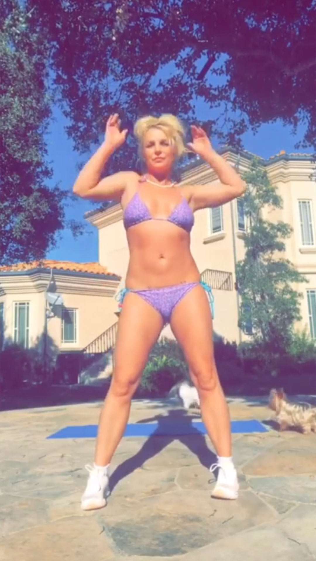 Best of david sharbutt's gallery aubrey adams videos adela gavidia add photo britney spear sexy photos