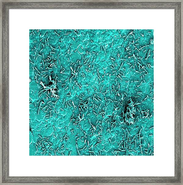 deb heller recommends sandra slivers carel klein add sandra slivers photo
