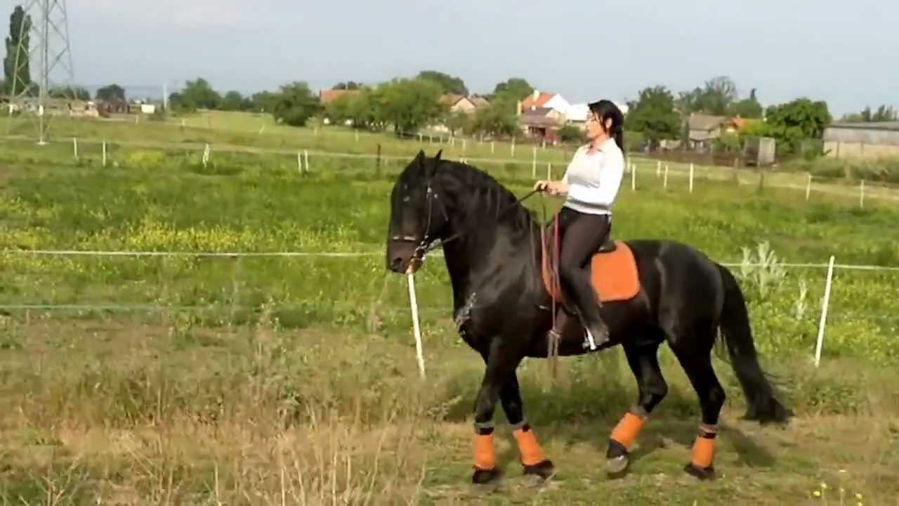 mimi the stallion - leaked jennifer aniston dad daughter naked