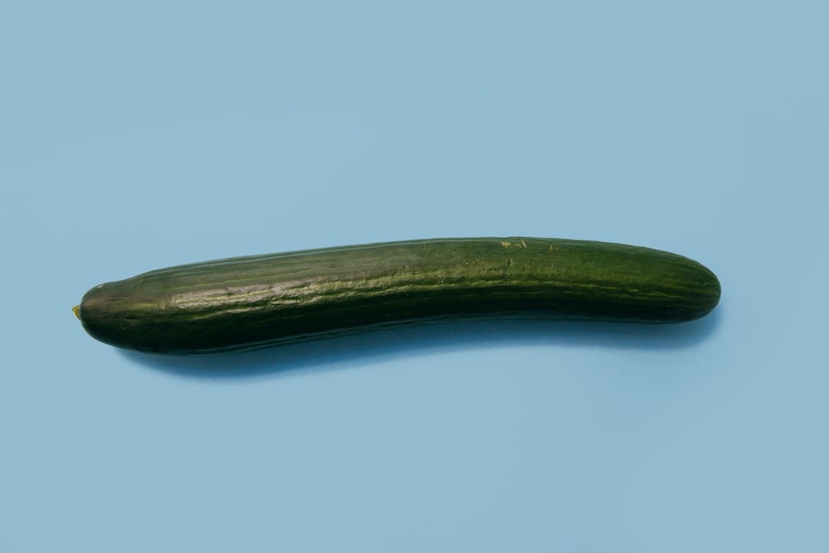 chewy weber recommends cucumber fleshlight pic