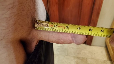 cindy cachero recommends ron jeremy penis size pic