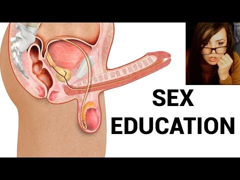 allison gallant recommends sexual intercourse educational video pic