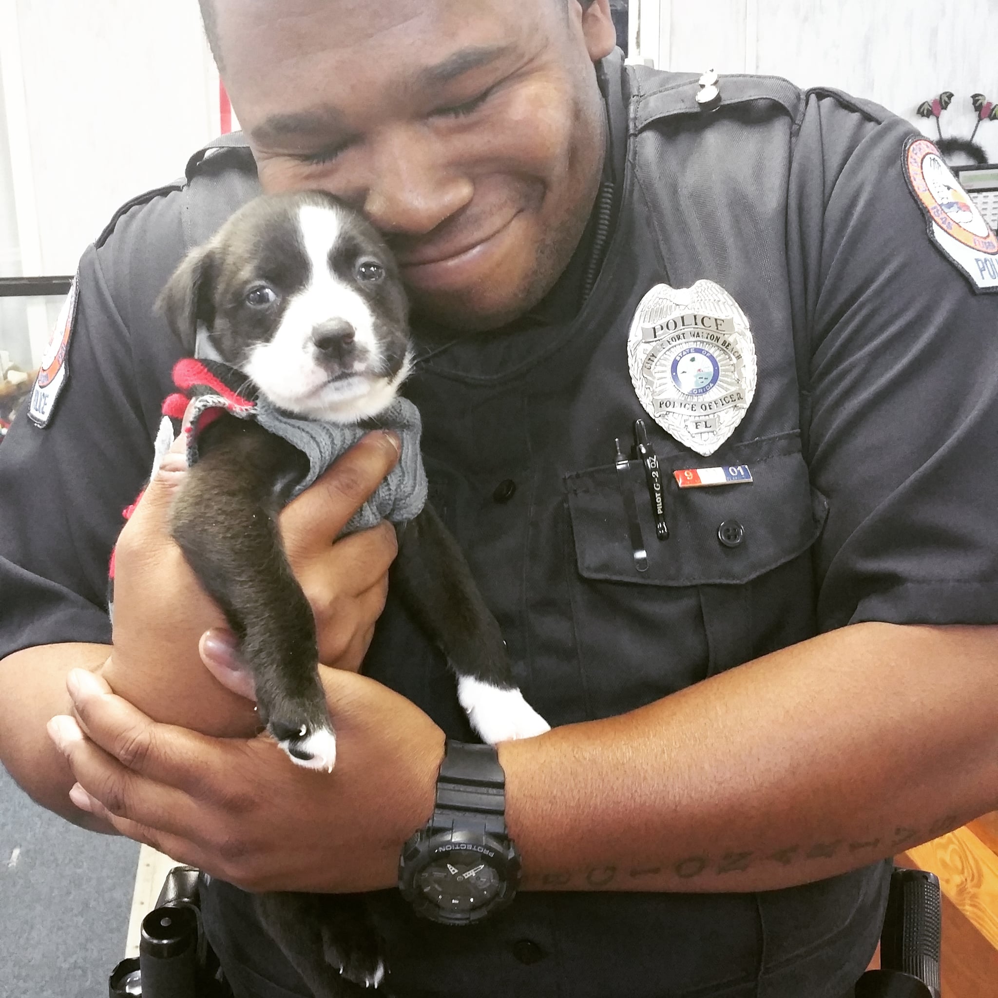 police officer job is a suck eliza - casting couch katie man eat puss