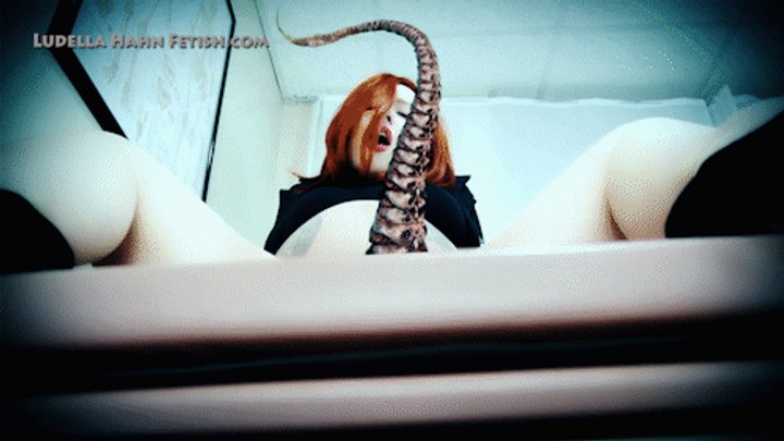 ludella hahn free videos - fabiola romero hidden camera masturbating