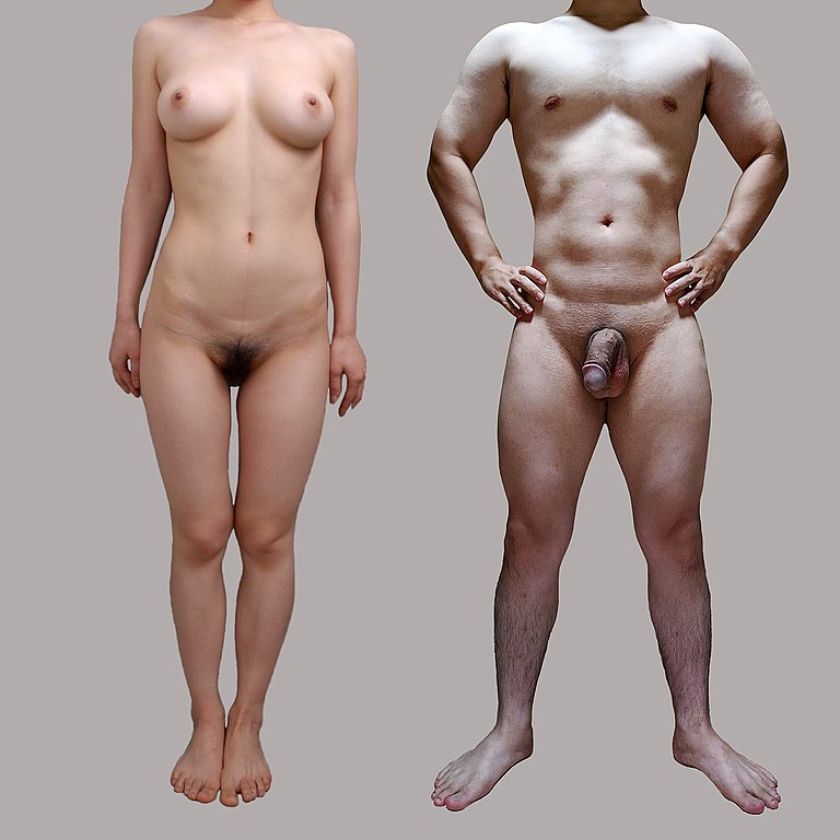 agmal bent recommends japan av nude pic