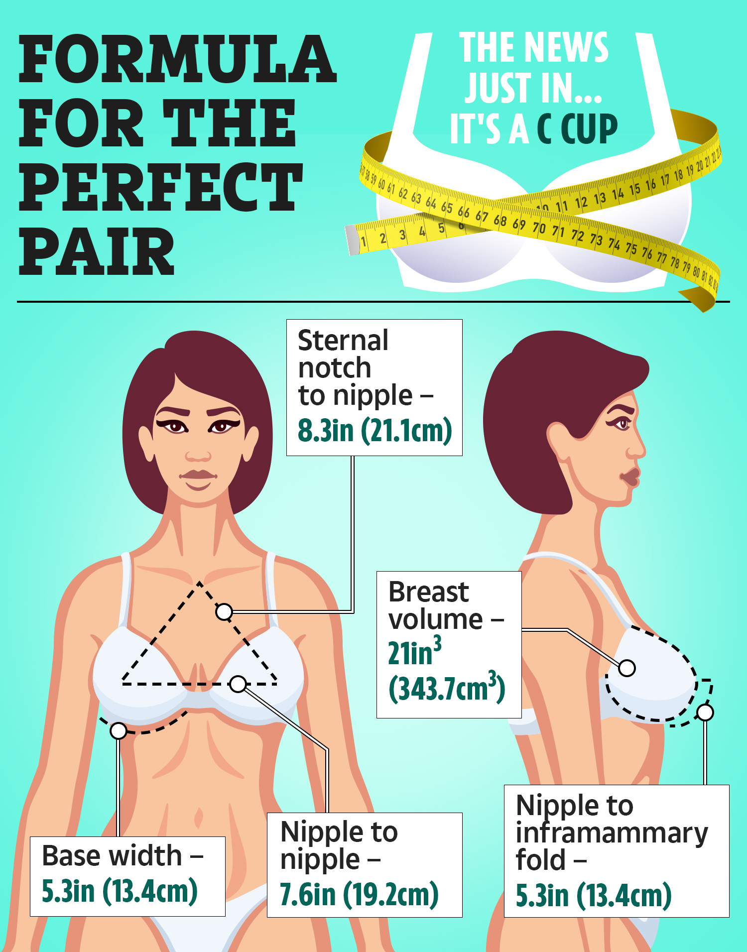 ahmad bravo recommends 18 perfect tits pic