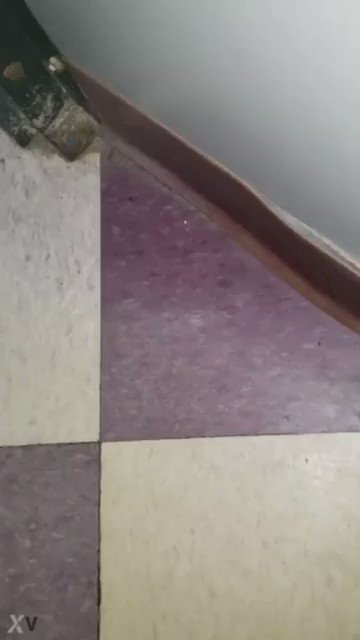 public groping clips