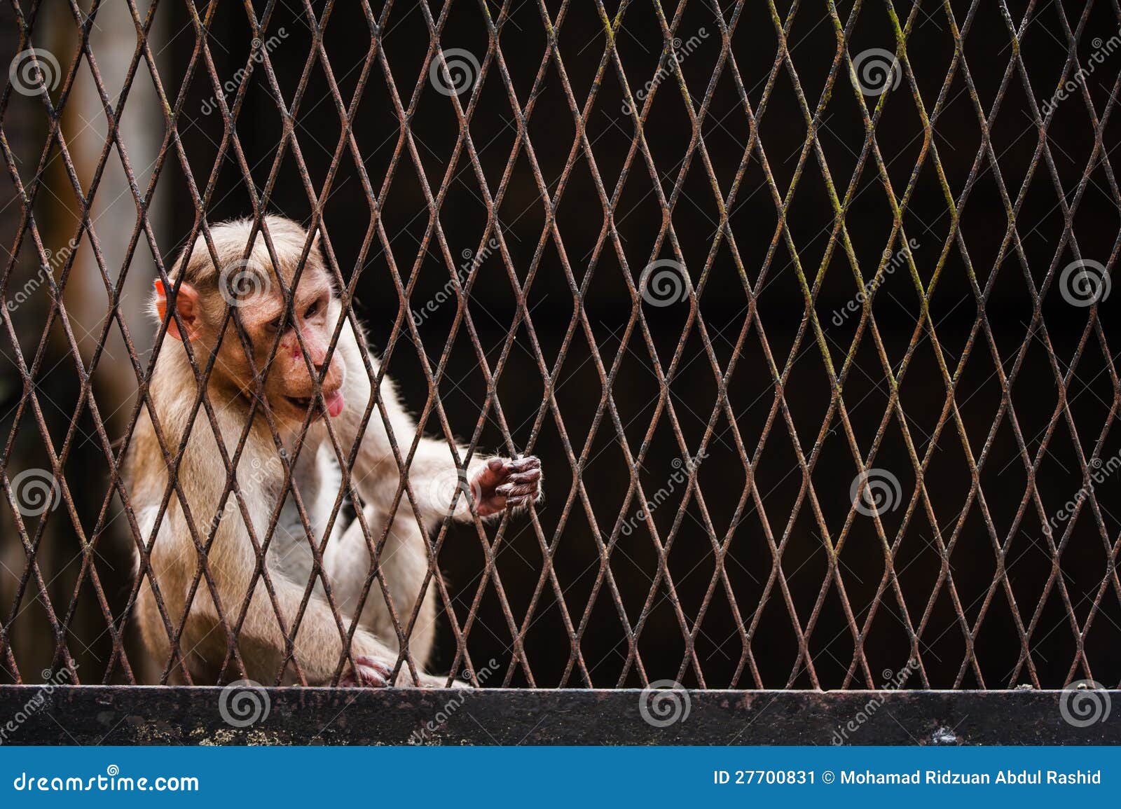 bhakti pokhrel like hairy licking photo alistair macaulay recommends hairy licking pic