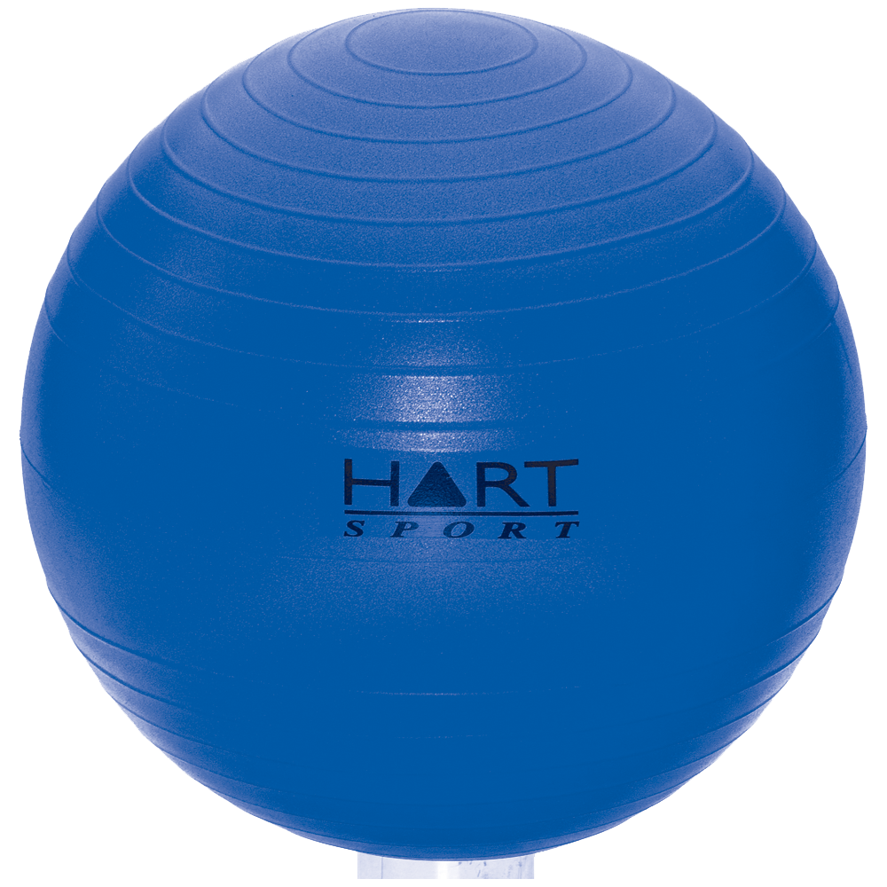 swiss ball porn - team skeet creampies peaceduke chat