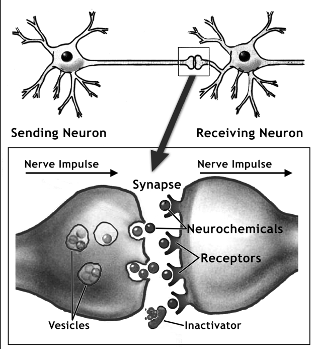 alex spearing share nerve porn photos