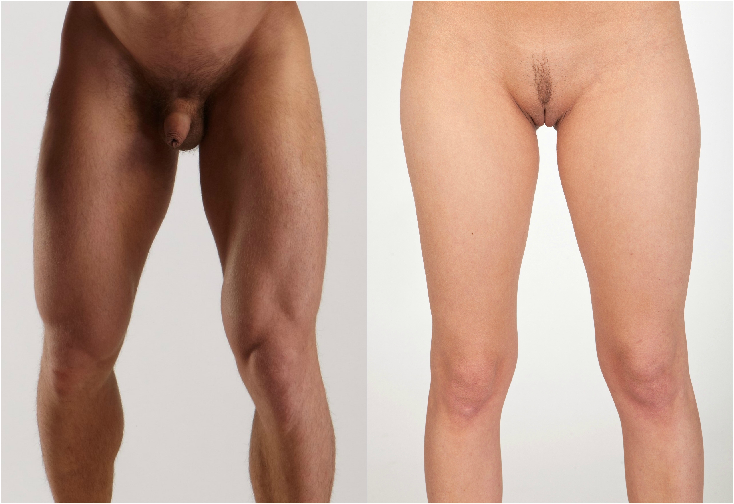 ankit tulsian recommends nude females and males pic