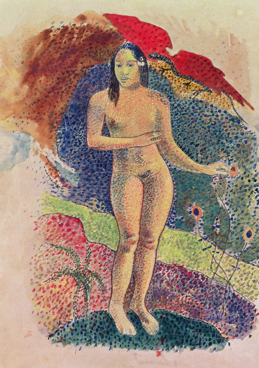 asmaa nabawy recommends nude ann coulter pic