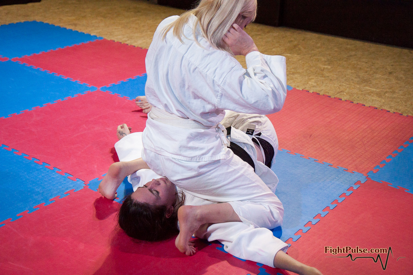 sativa mixed wrestling - jessica mazury bbyani porn