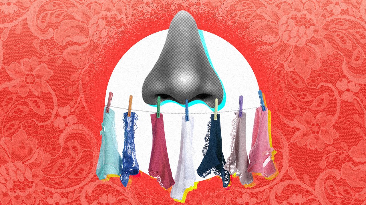 dani hajj recommends Panty Porn Stories