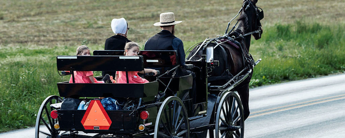 beverly blaisdell like amish oil change video photo carmen vedder recommends amish oil change video pic