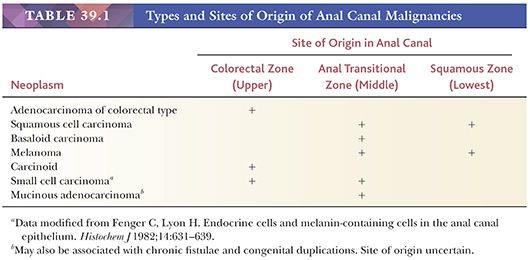 Best of Anal category