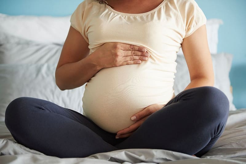 cream pie pregnant