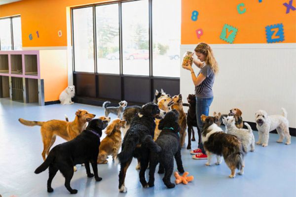 angelique montgomery recommends cougar doggy pic