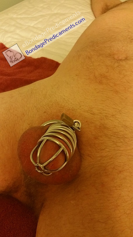 anthony jacobus recommends gay bondage chastity pic