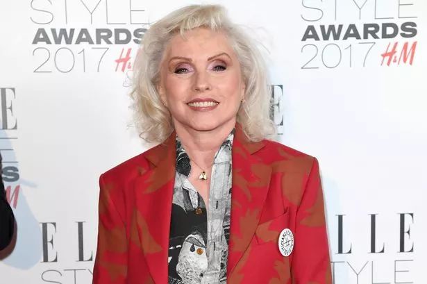 albert andrews recommends blondie bee pic
