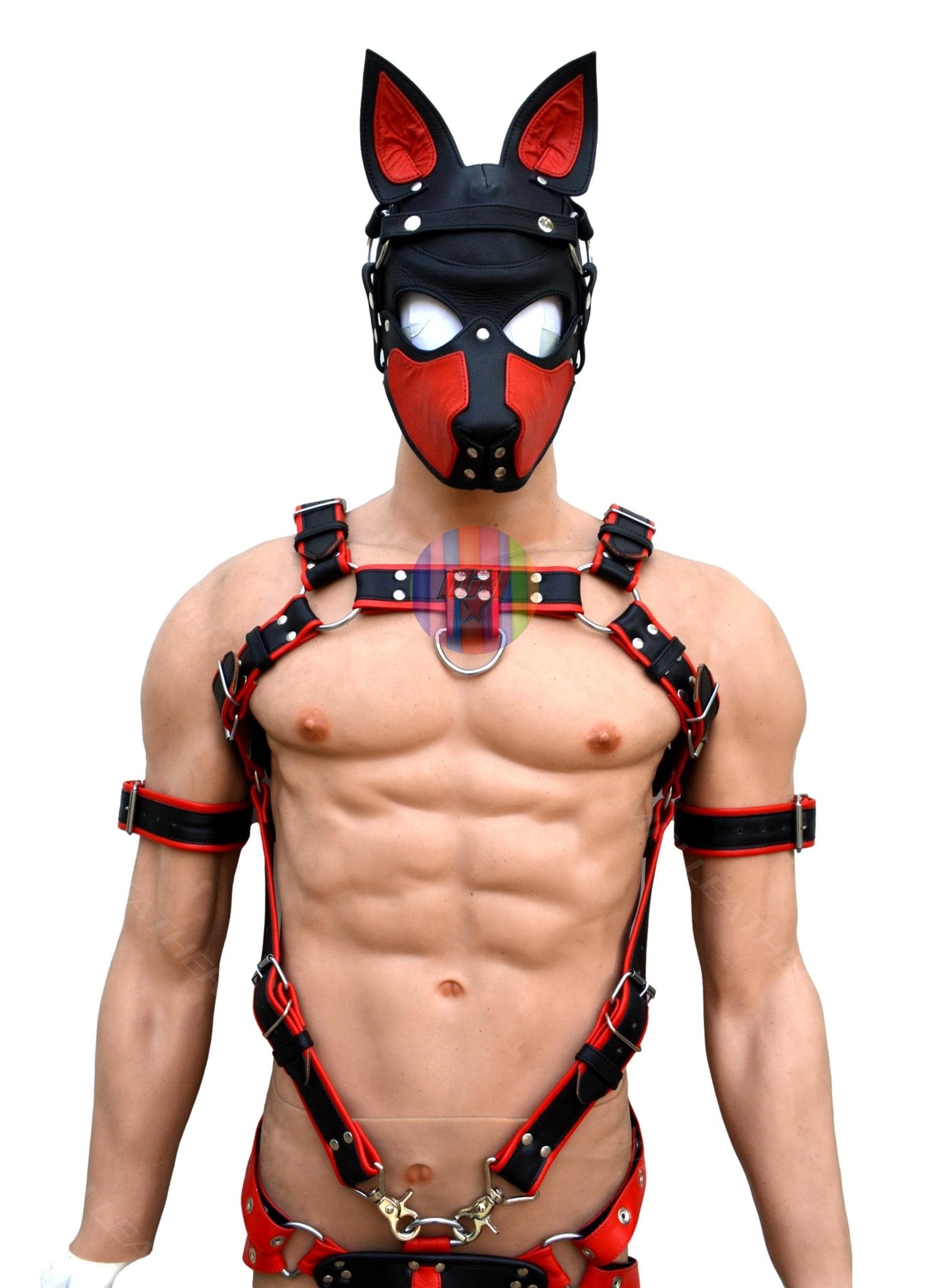 Best of Bdsm male