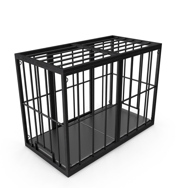 the cage bdsm