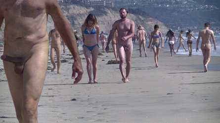 cynthia aviles like blacks beach cfnm photo danny gale recommends blacks beach cfnm pic