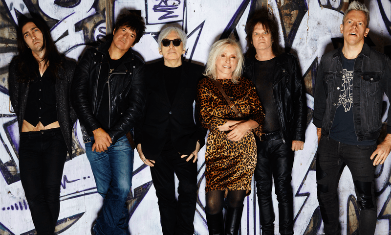 andrew bostic like blondie bee photo alan espinoza recommends blondie bee pic