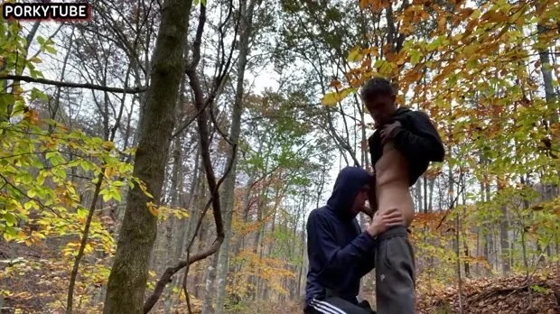 diya naqvi add blowjob in the woods photo