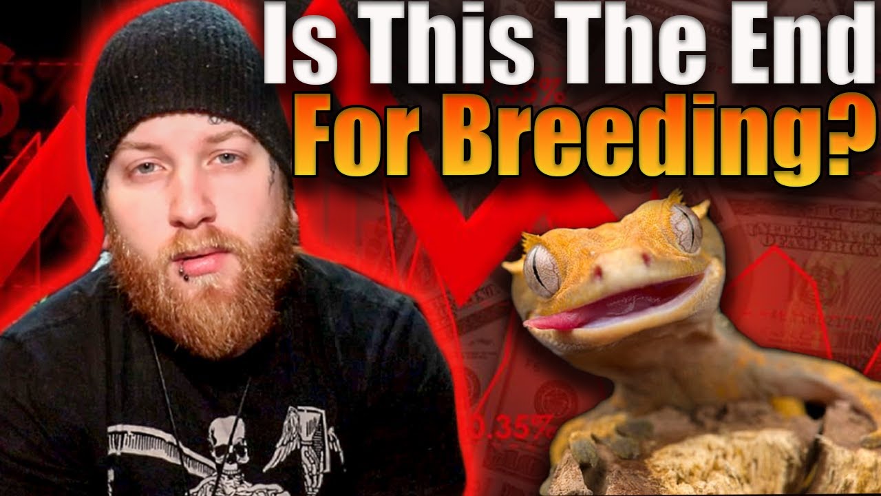 denis pinheiro recommends breeding latina pic