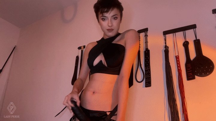 ayman bara like lady perse pegging photo danny gosselin recommends lady perse pegging pic