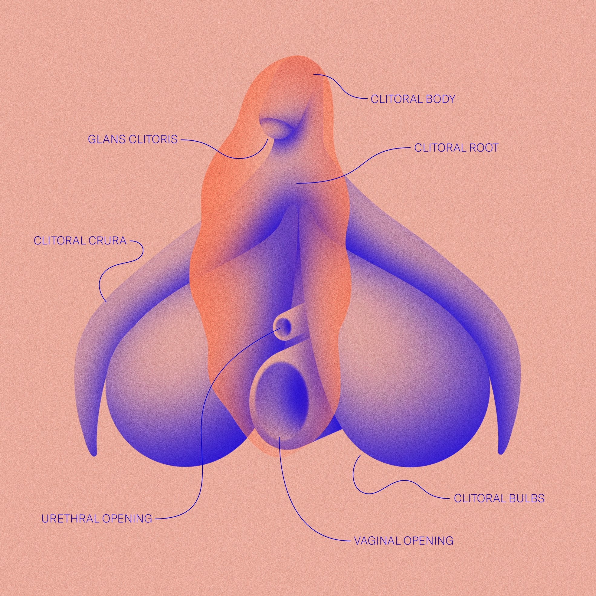Best of Clit mastu