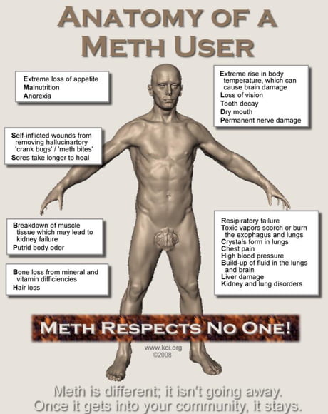 amuza waigo recommends cock meth bridget dix add cock meth photo