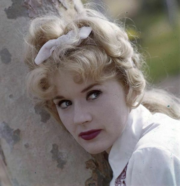 bassam al zayer recommends Connie Stevens Naked