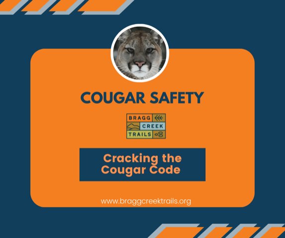 david cherba recommends Cougar Doggy