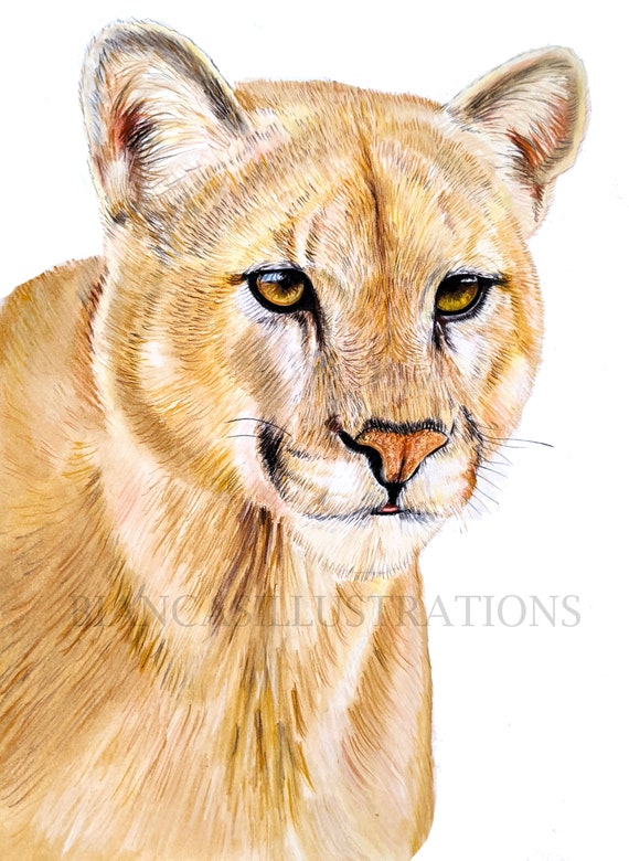 cornelia benson recommends cougar doggy anne marie mclean add cougar doggy photo