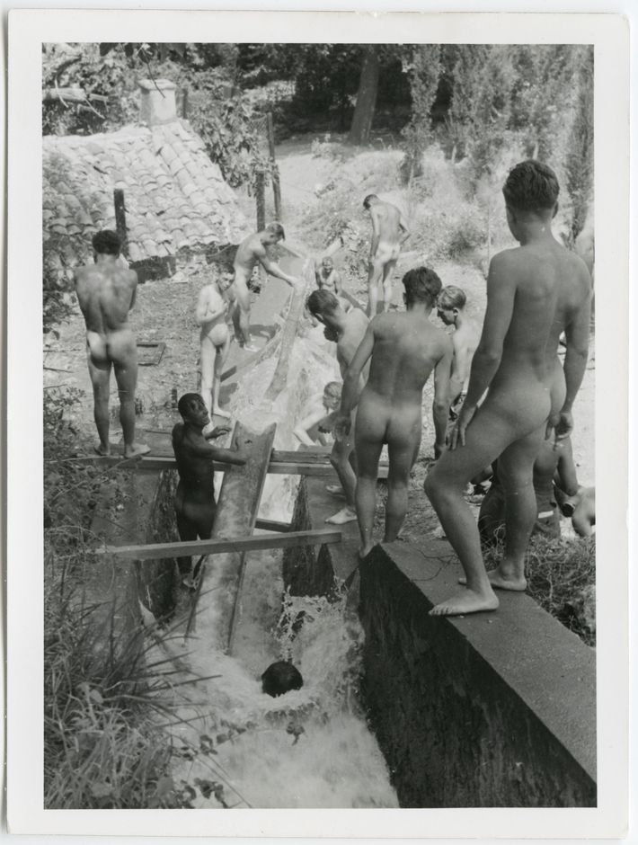 Best of david mcgregor's gallery syren de mer joi alex koukios add photo nude soldiers