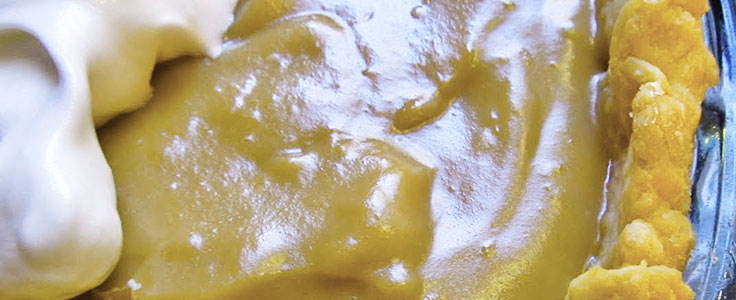 bill gantz recommends mother cream pie pic
