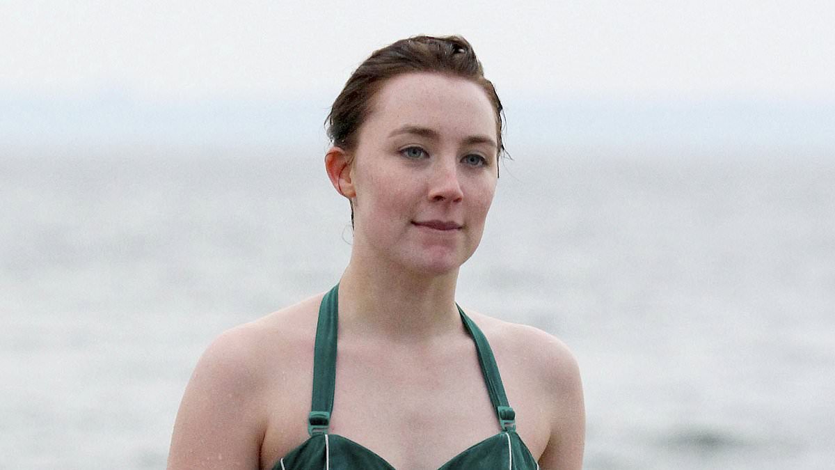bang juned like saoirse ronan bikini photo bui cong duy recommends saoirse ronan bikini pic