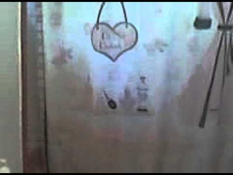 ladyboy erection
