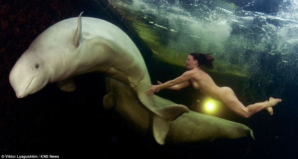 arturo mata recommends Diver Nude
