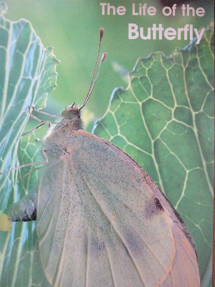 aaron dowson like drew butterfly photo bonface kinoti recommends drew butterfly pic