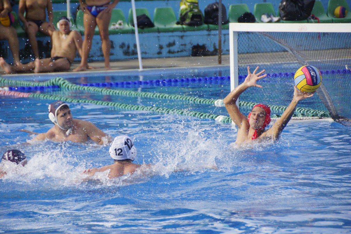 waterpolo tits sex shop waterpolo tits