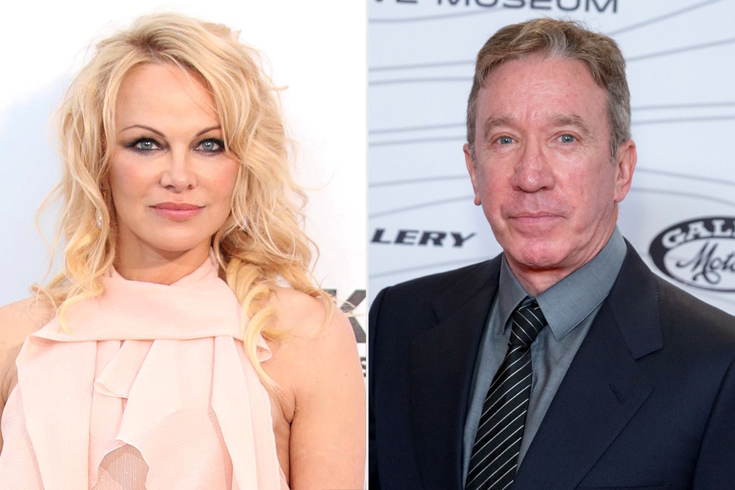 derek ow recommends Naked Pictures Of Pamela Anderson
