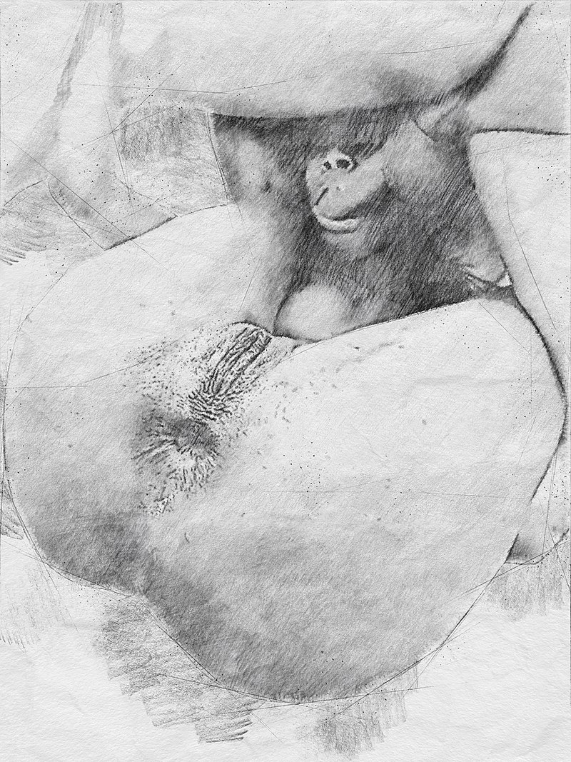 archiford masona share elizabeth gills nude