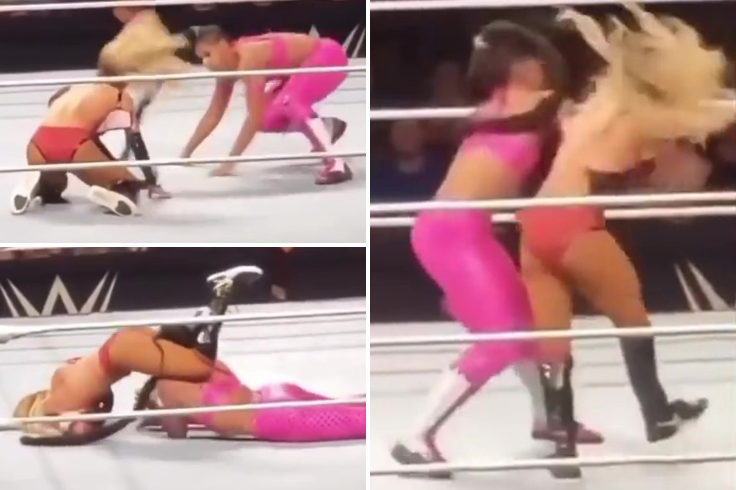 carol hiscock recommends biggest breasts female wrestlers wwe pic