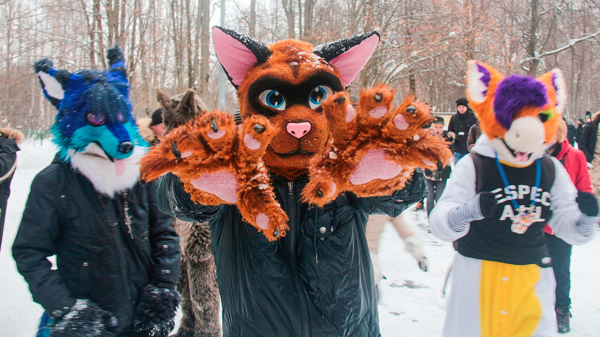 bobby krepps recommends Sexual Fursuit