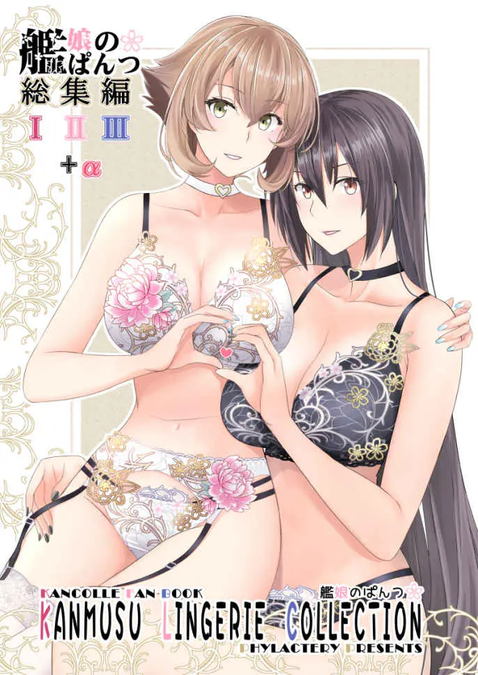 diane monk recommends Lingerie Compilation